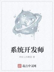 系统开发师